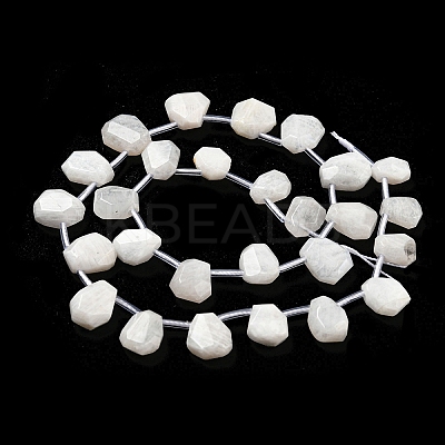 Natural Rainbow Moonstone Beads Strands G-Z040-A06-01-1