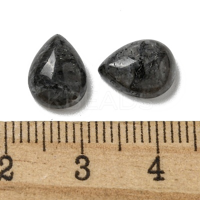 Natural Larvikite Cabochons G-Q173-02C-05-1
