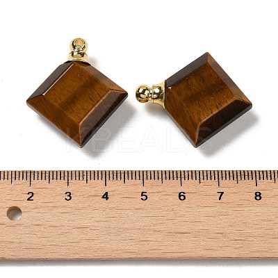 Natural Tiger Eye Perfume Bottle Pendants G-Z039-05G-05-1