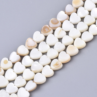 Natural Trochid Shell/Trochus Shell Bead Strands SSHEL-N034-66-1