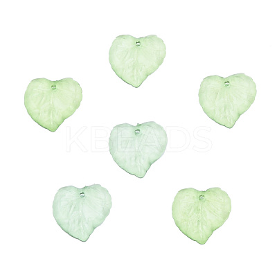 Transparent Acrylic Pendants DBLA410-10-1