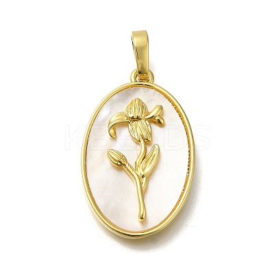 Brass Pave Shell Birth Flower Pendants FIND-I040-04C-1