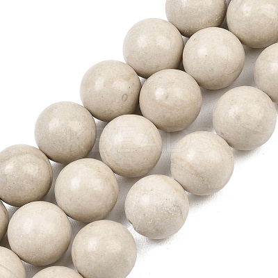 Natural Petrified Wood Beads Strands G-L648-A03-16mm-01-1
