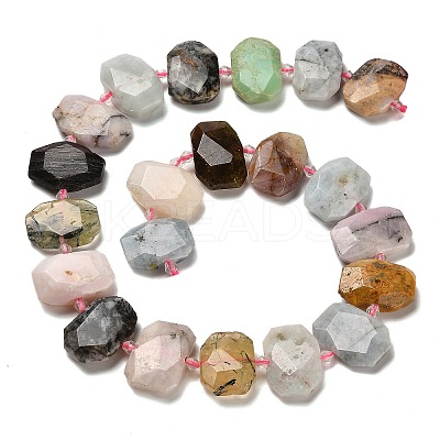 Natural Crazy Agate/Green Opal/Prehnite/Tree Agate Beads Strands G-H078-B24-01-1