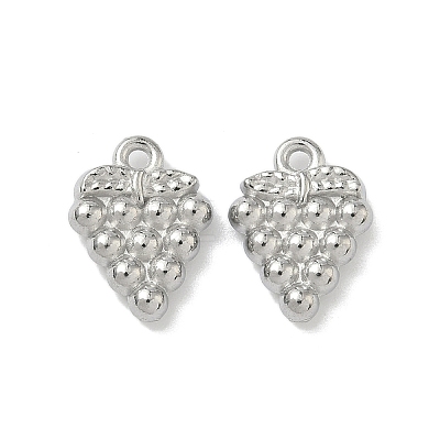 304 Stainless Steel Pendants STAS-Z176-01P-05-1
