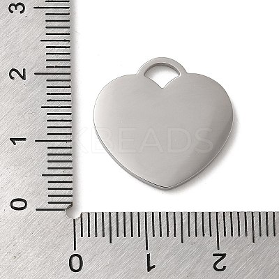 Non-Tarnish 304 Stainless Steel Pendants STAS-K270-06P-1