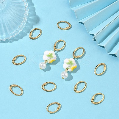 SHEGRACE Brass Leverback Earring Findings XGR0070G-73G-1