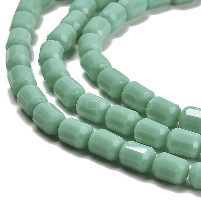 Opaque Glass Beads Strands GLAA-G112-04E-1