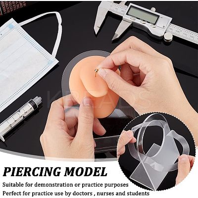 Soft Silicone Tongue Flexible Model Body Part Displays with Acrylic Stands ODIS-WH0002-23-1