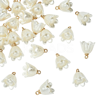 30Pcs Opaque Resin Imitation Pearl Charms FIND-YW0009-02-1