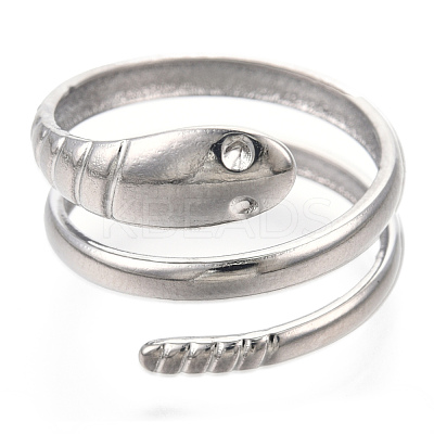 Non-Tarnish 304 Stainless Steel Snake Twist Rings RJEW-N038-114P-1