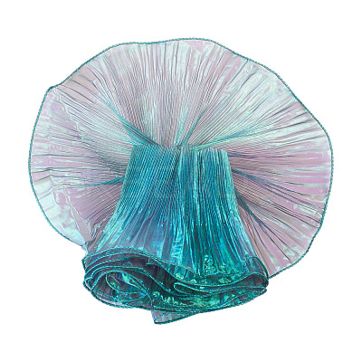 5 Yards Polyester Ruffled Ribbon OCOR-TA0004-06C-1