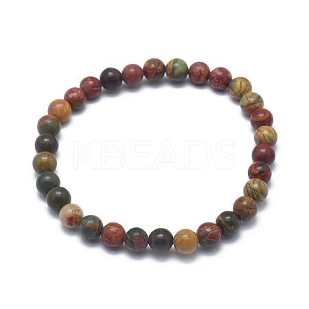 Natural Polychrome Jasper/Picasso Stone/Picasso Jasper Bead Stretch Bracelets BJEW-K212-B-001-1