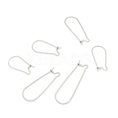 Stainless Steel Hoop Earring Findings STAS-WH0014-34D-P-1