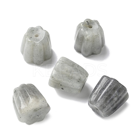 Natural Labradorite Incense Burners G-C167-05I-1
