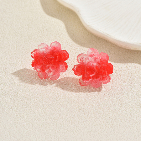 Resin Stud Earrings for Women WV5243-1