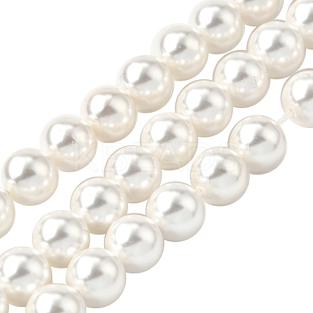 Rainbow Plated Shell Pearl Bead Strands BSHE-L025-02-6mm-1
