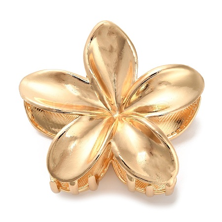 Alloy Claw Hair Clips AJEW-A061-06C-G-1