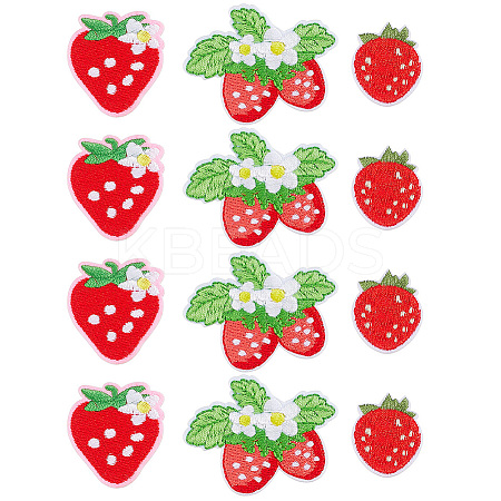 12Pcs 3 Styles Strawberry Computerized Embroidery Cloth Iron on/Sew on Patches PATC-PH0001-36-1