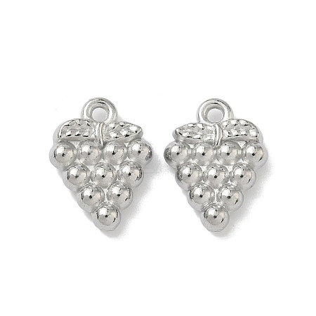 304 Stainless Steel Pendants STAS-Z176-01P-05-1