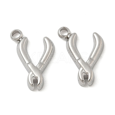 304 Stainless Steel Pendants STAS-D127-21C-P-1