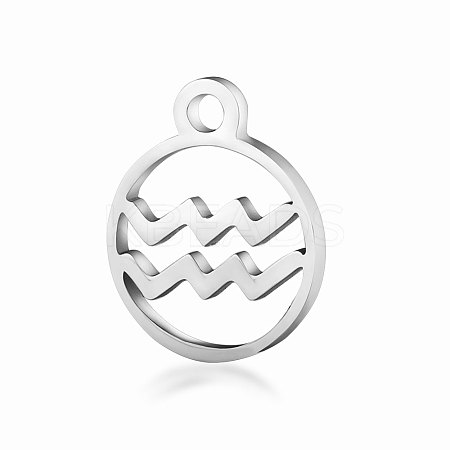 Non-Tarnish 201 Stainless Steel Charms STAS-T014-T505-11-1