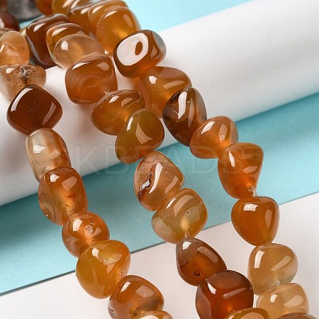 Natural Agate Beads Strands G-H295-B01-08-1