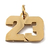 316 Surgical Stainless Steel Charms STAS-WH0022-84G-23-1