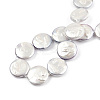 Plating Natural Freshwater Shell Beads Strands SHEL-N026-225B-4