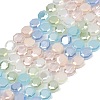 Electroplate Glass Beads Strands X-EGLA-G039-05A-01-1