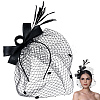 Gauze Mesh Veil Cloth with Aligator Hair Clip AJEW-WH20018-97A-1