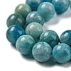 Natural Gemstone Hemimorphite Round Beads Strands G-L145-8mm-01-5