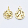 Brass Micro Pave Cubic Zirconia Charms RB-I078-68G-NR-2