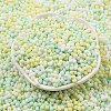 Macaron Color Opaque Frosted Glass Seed Beads SEED-K009-12B-04-2