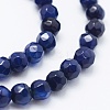 Natural Agate Beads Strands G-E469-12-4