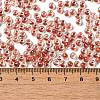 6/0 Transparent Inside Colours Glass Seed Beads SEED-P006-01A-05-4