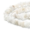 Natural Rainbow Moonstone Beads Strands X-G-A200-02-2