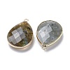 Faceted Natural Labradorite Pendants G-M356-B02-LG-3