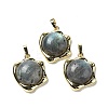 Natural Labradorite Pendants G-G069-01G-06-1