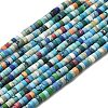 Dyed Synthetic Turquoise Beads Strands G-Z089-A04-R-3