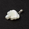 Natural Trochid Shell/Trochus Shell Pendants SSHEL-M021-10-5