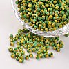 8/0 Opaque Colours Seep Glass Beads SEED-M007-46-1