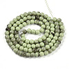 Baking Paint Glass Beads Strands DGLA-N013-8mm-05-2