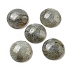 Natural Labradorite Cabochons G-C115-02A-26-1