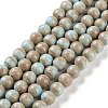 Natural Rainbow Alashan Agate Beads Strands G-NH0022-A07-02-1