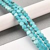 Natural Dolomite Beads Strands G-F765-G08-01-2