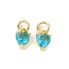 Brass Micro Pave Cubic Zirconia Charms KK-P192-08-G11-1