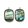 304 Stainless Steel Pave Natural Paua Shell Pendants STAS-Z125-01I-G-1