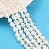 Natural Cultured Freshwater Pearl Beads Strands PEAR-P064-20C-05A-1