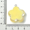 Translucent Resin Pendants RESI-P039-01P-4